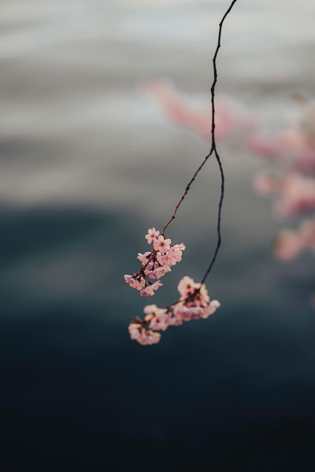 《七根心简》开播点评怎么？刘浩存宋威龙新剧值得追吗